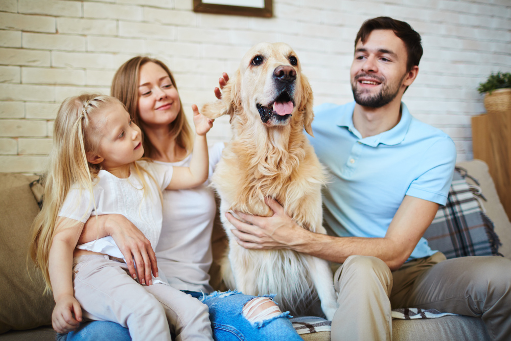 4 Things To Know Before Investing in a Family Pet.jpg